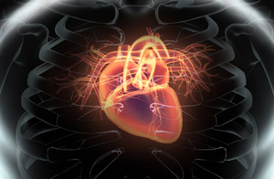 Herzklappenerkrankungen - minimalinversive Therapien